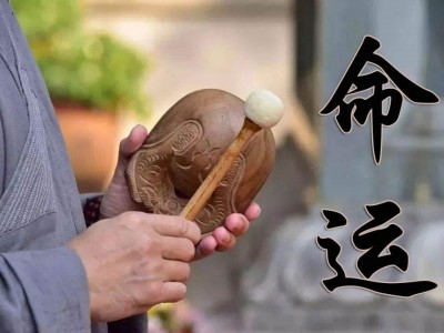 免費取名，八字算命，暴利項目月賺100000+