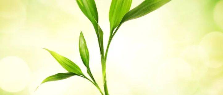 小米應(yīng)用商店的投放有哪些可以總結(jié)的？