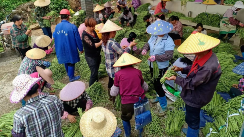 一天收入800多很輕松，在農(nóng)村干正好，這3個(gè)小生意悶聲發(fā)財(cái)?shù)牟簧?></a></div>
                <div   id=