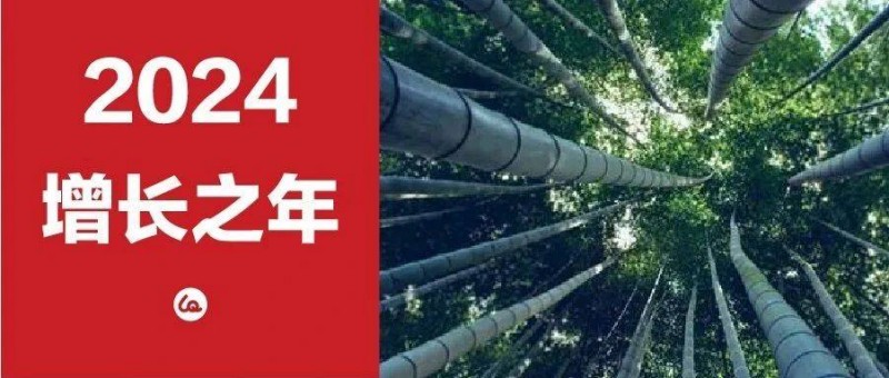 2024，品牌是最好的增長工具