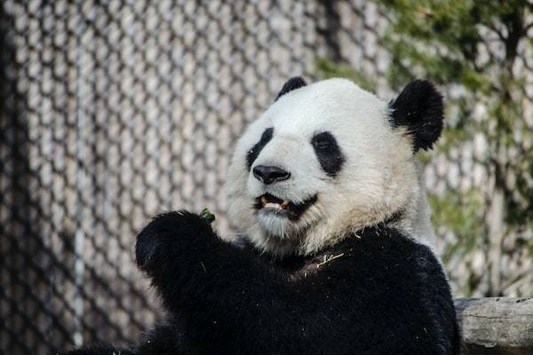拼多多超過48小時不發(fā)貨怎么賠償？有哪些？