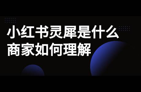 小紅書靈犀是什么？對商家運(yùn)營有何借鑒意義？