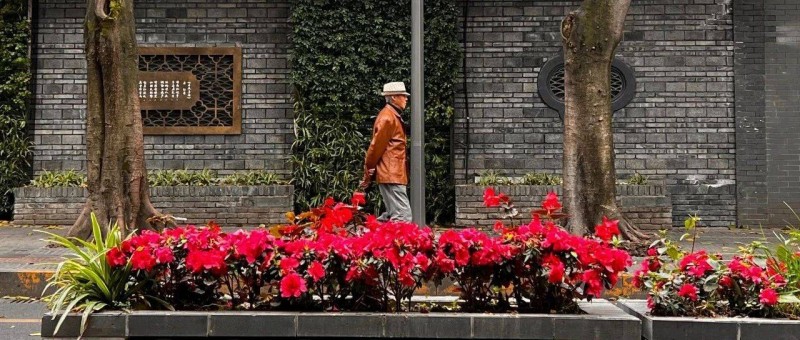 短視頻時代，我們?yōu)槭裁催€需要讀書