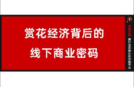 賞花經(jīng)濟(jì)背后，藏著哪些線下商業(yè)密碼？