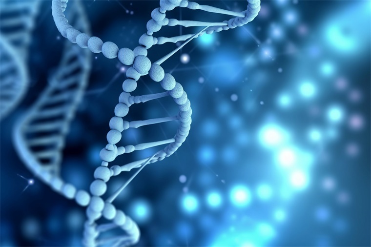 重大里程碑！英國科學家完成首個合成酵母基因組的合成染色體