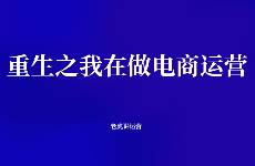重生之我在做電商運(yùn)營(yíng)