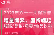 2023年抖音雙十一電商數(shù)據(jù)報(bào)告