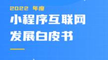 2022 年度小程序白皮書(shū)發(fā)布