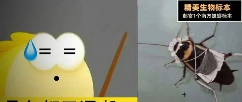 閑魚抽獎(jiǎng)送蟑螂女仆，比LV還瘋！