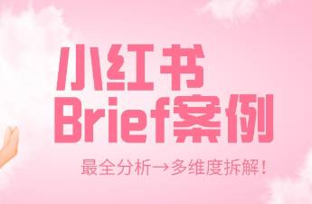 這次一定教會(huì)你怎么寫！多個(gè)品牌種草Brief實(shí)例拆解！