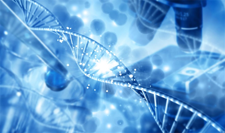 2024年中國十大最具價值合成生物學(xué)企業(yè)一覽 合成生物概念大火，誰能脫穎而出？