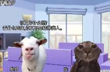 萬物皆可成梗，網(wǎng)絡(luò)符號究竟有多少種？