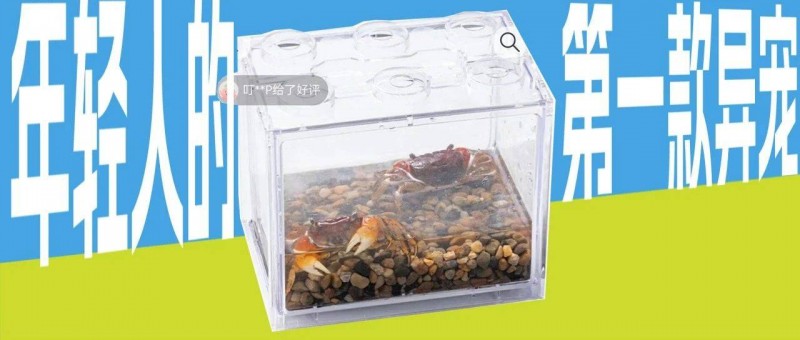 螃蟹當(dāng)頂流，又是被顛咚買菜硬控的一天