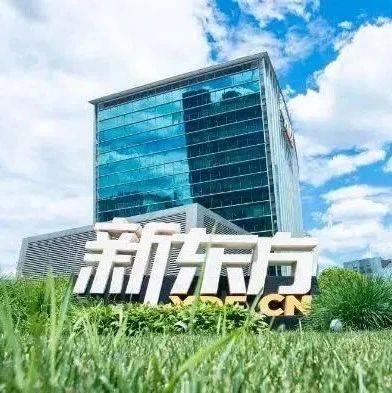 攜手飛豬背后，新東方文旅的日子似乎過得不太好