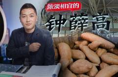 鐘薛高老板直播賣紅薯還債，真還傳有了新主角？