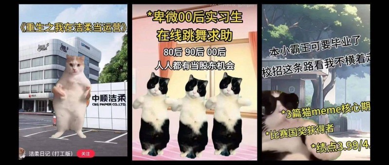 霸榜三平臺(tái)，貓meme踩中三大爆款要素