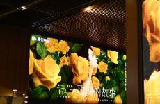 《玫瑰的故事》和《墨雨云間》誰更懂女觀眾