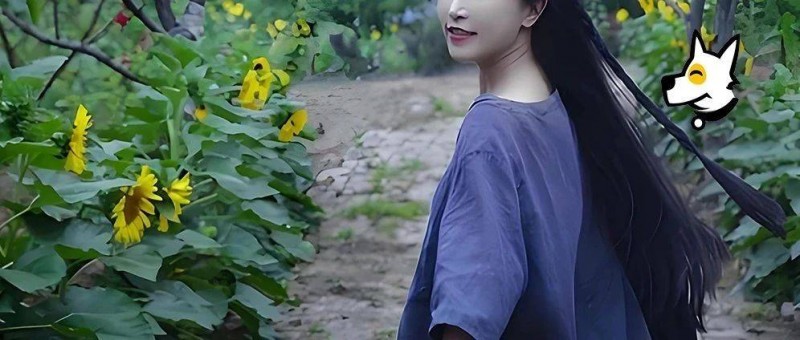 李子柒，為什么消失得這么徹底？