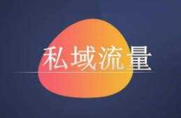 最理想的私域模式 GMV年增長超35，LTV翻10倍