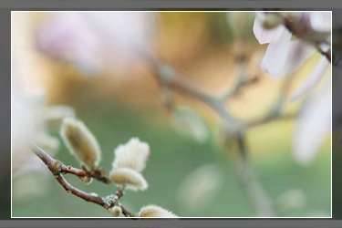 抖音健康分80分了怎么辦？健康分怎么查？