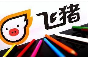 被邊緣化后 飛豬擺爛，莊卓然求變？