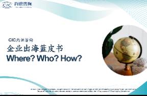 千帆競發(fā)，中國企業(yè)開啟大航海時代