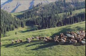 農(nóng)夫山泉鐘睒睒，沒必要去央視回應(yīng)網(wǎng)暴