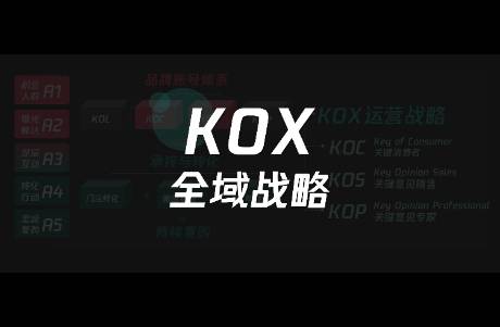 從10個(gè)KOS與KOC高頻運(yùn)營(yíng)實(shí)戰(zhàn)問題，反思打法對(duì)錯(cuò)