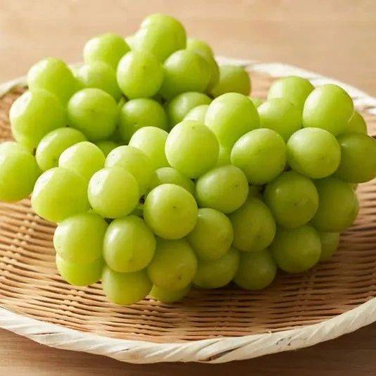 為什么陽光玫瑰葡萄便宜了，但沒以前香了？
