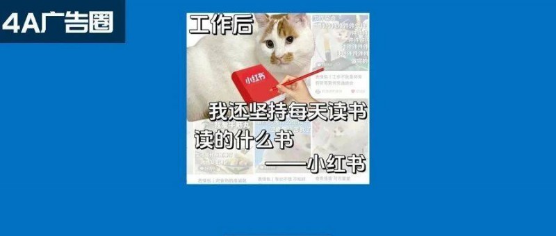 內(nèi)容直播的賽道，還是讓小紅書闖出來了