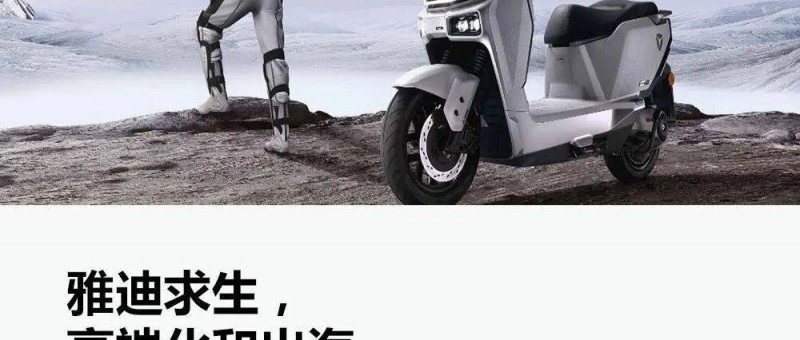 雅迪業(yè)績踩剎車，電動一哥怎么了？