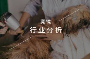 寵物洗護(hù)賽道熱點(diǎn)洞察，探尋3000億藍(lán)海市場新機(jī)遇
