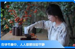李子柒回歸！外國網友哭了