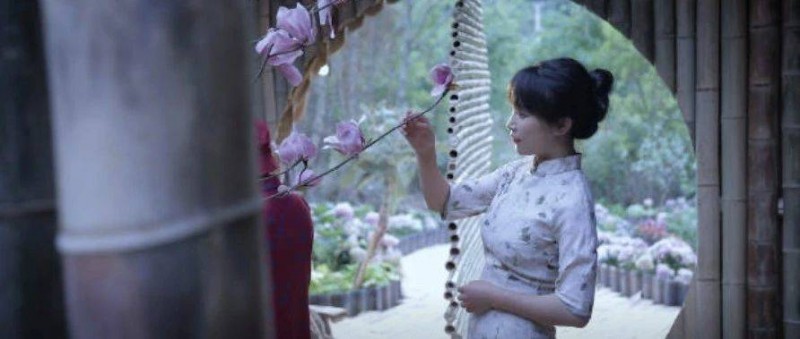 李子柒停更三年，為啥還是頂流？再大的網(wǎng)紅也怕停更啊。。。