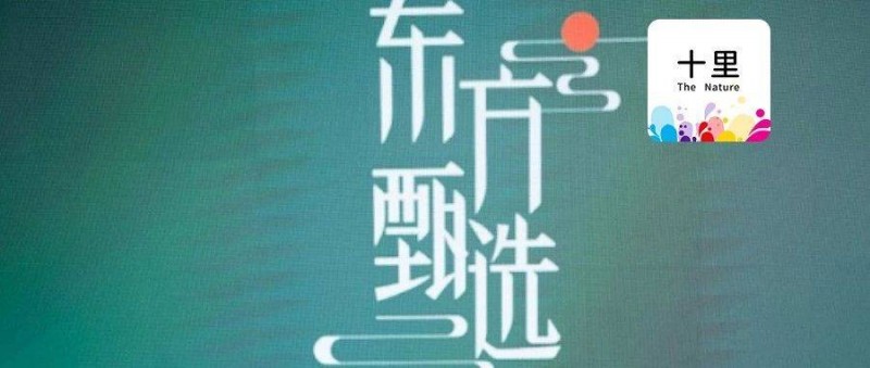 東方甄選原CEO，孫東旭回歸，倉庫打包。