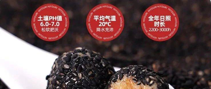 一丸回血，食養(yǎng)黑馬很有力HIYORI為年輕人找到中式養(yǎng)生新解法
