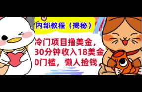揭秘0門檻懶人撿錢項目，30分鐘輕松擼18美刀，全自動收