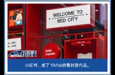 尋求避難所的TikTok 難民，小紅書能否要得起