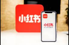 誰(shuí)將與小紅書共享潑天流量？