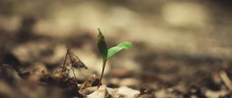 鞋服行業(yè)的環(huán)保之路 2大爭議，4個方向