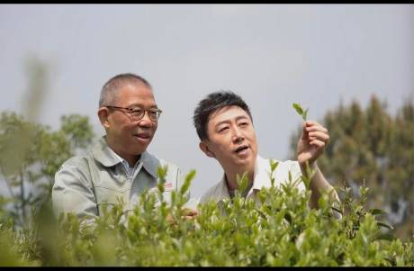 娃哈哈口碑反轉(zhuǎn)背后 全網(wǎng)欠鐘睒睒一個光明正大的道歉