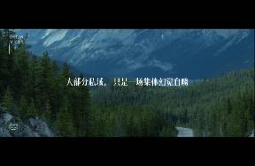 頂級私域IP，都有1種淡淡的牛逼感