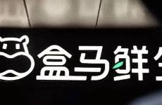 創(chuàng)立十周年的盒馬，今年想再開100家門店