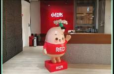 小紅書(shū)又上熱搜不是壞事！