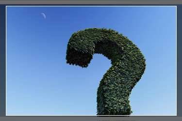 拼多多限時(shí)福利是真的嗎？拼多多的限時(shí)獎(jiǎng)勵(lì)