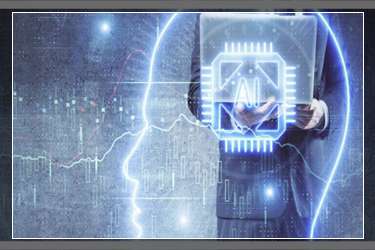 拼多多多多場景入口在哪里？拼多多多多場景在哪里展示