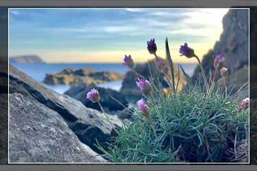 淘寶補(bǔ)單虛假交易會怎么樣？淘寶補(bǔ)單合法嗎