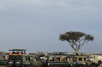 東非草原大堵車，真是中國游客扎堆擠出來的？